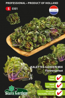 Kalette Flower Sprouts (Brassica) 18 zaden SL